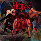 ＜Source:BORN Official Website＞