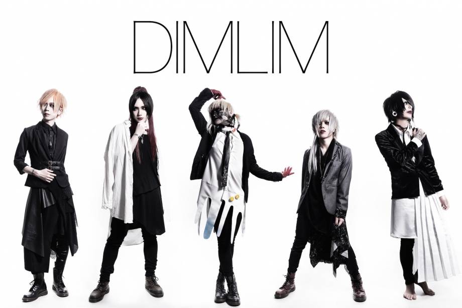 ＜Source：DIMLIM Official Website＞